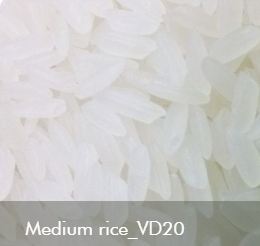 Gạo thường - Gạo Khánh Tâm - Công Ty TNHH Khánh Tâm